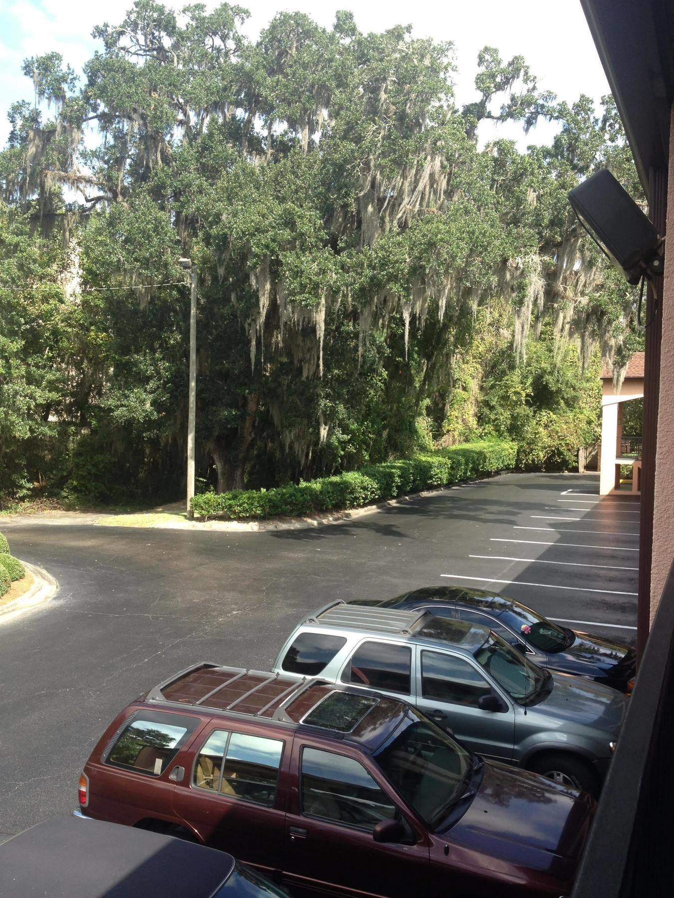 Best Western Tallahassee Downtown Inn And Suites Exterior photo
